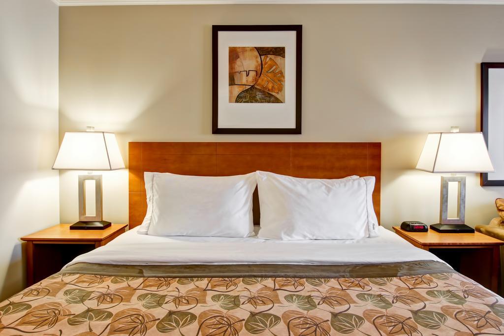 Motel Canalta Jurassic -