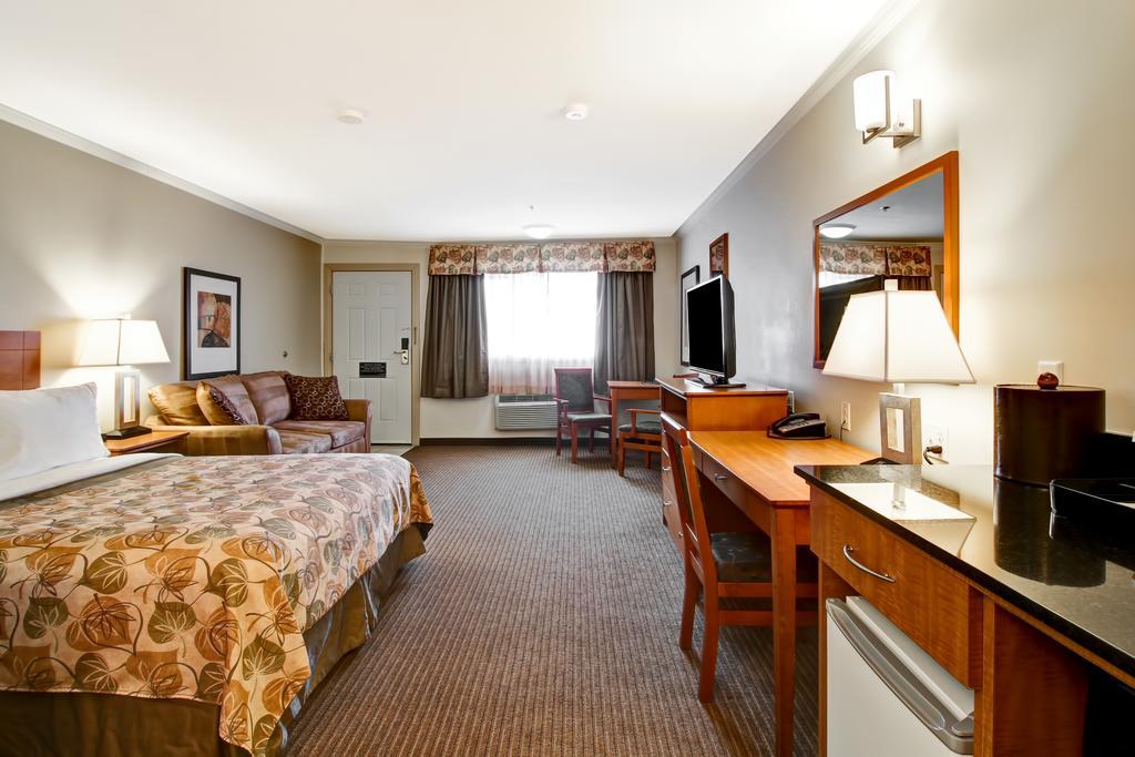 Canalta Jurassic -